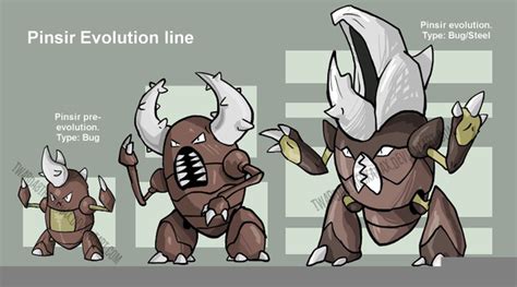 pinsir evolution chart